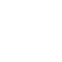 Icon White